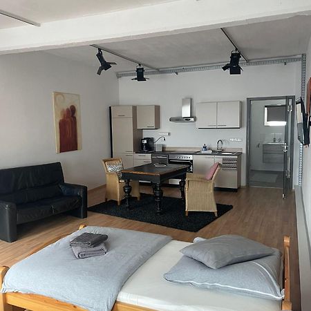 40 Qm Grosse Studiowohnung Zentral Gelegen In Гросс-Умштадт Экстерьер фото
